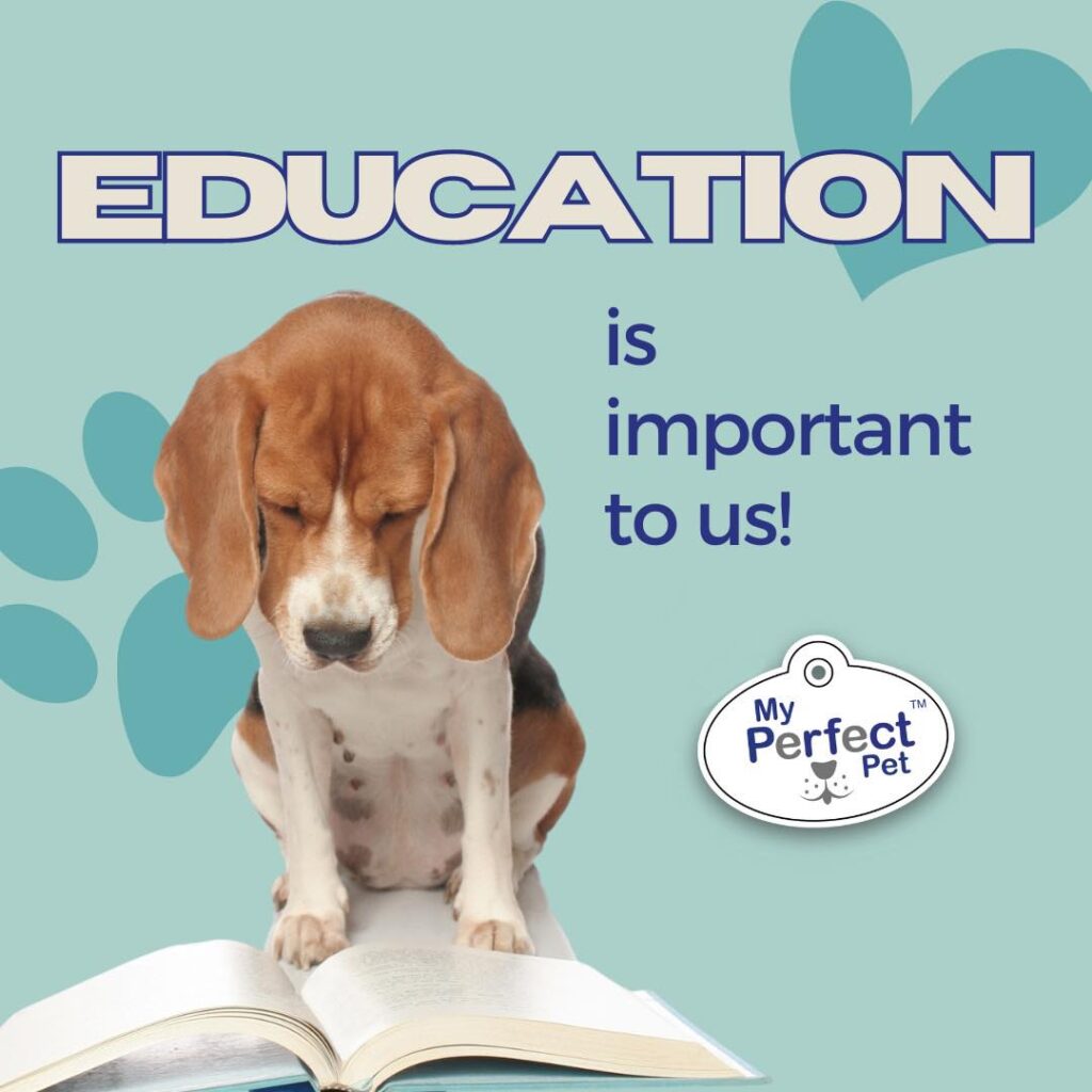 Dog reading a book: education is important to us at My Perfect Pet!