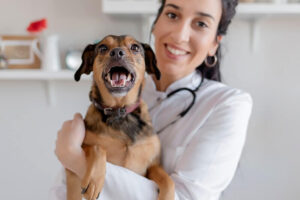 Veterinarian in medical white coat holding a happy dog