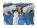 Three small white dogs eating from a bowl, with Lisa testimonial