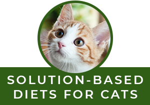 Solution-Based Diets For Cats